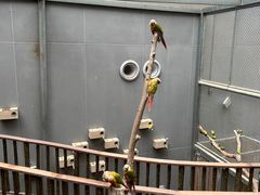 -正佳雨林生态植物园
