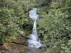 -燕子河大峡谷天坑仙境