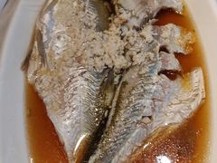 酒糟蒸白水鱼-老人和饭店(淮海中路店)