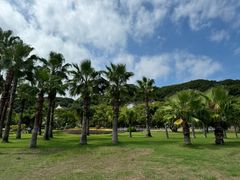 -普陀山风景名胜区-法雨禅寺