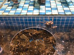 -蓝钻·国际美食海鲜自助百汇(西直门店)