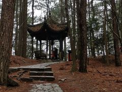 -四明山国家森林公园