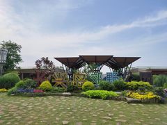 -上海长兴岛郊野公园