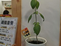 -呷贺盐酥鸡(抄纸巷店)