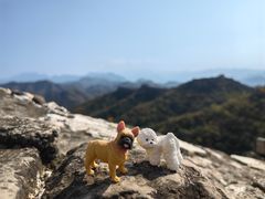 -蟠龙山长城景区