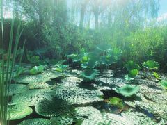-马家湾湿地公园