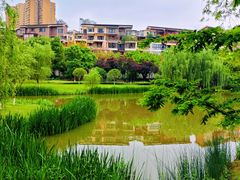 -沐仙湖湿地公园