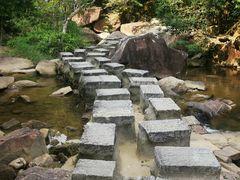 -广州白江湖森林公园