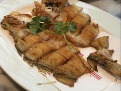 -山水茶艺馆·点心粤菜·30年老字号