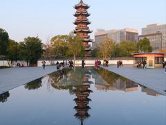 -龙华素斋(龙华路店)