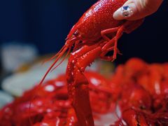 -虾乐园龙虾·夜宵(松江店)