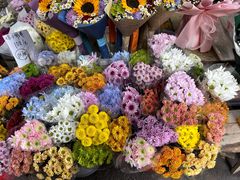 -循礼门鲜花花市(武汉循礼门店)