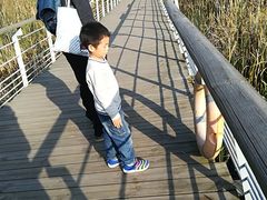 -西湖风景区-江洋畈生态公园