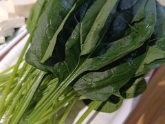 菠菜spinach-东镇老火锅(长春路首店)