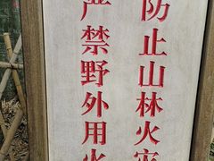 -杭州黄龙洞