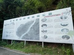 -羚羊峡古栈道森林公园