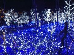 -蜻蜓逐宴全日制西餐厅I古北水镇大酒店