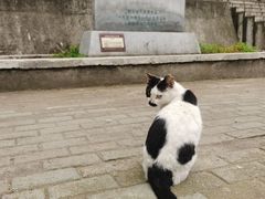 -武汉长江大桥