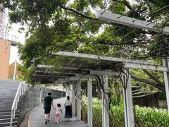 -缘生态云南菜·野生菌庭院餐厅(华侨城店)