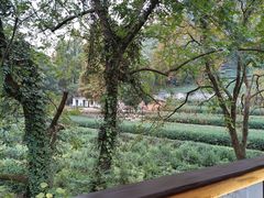 -随意茶庄·地道杭帮农家菜(梅家坞店)