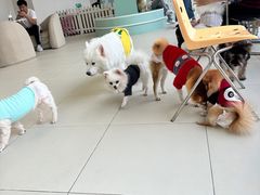 -怪兽屋·羊驼·猫咖·狗咖(俊华广场店)