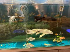 -食悦江南·淮扬菜·烤鸭(亚运村·惠新店)