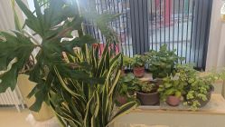 -黎蓓露·徒手骨雕蛋白抗衰·调肤管理