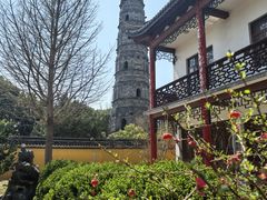-上海青龙寺