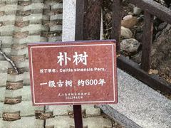 -灵山岛风景区
