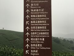 -帐篷客·溪龙茶谷度假酒店