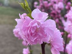 -仁和公园(顺义区)