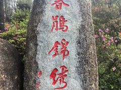 -梧桐山风景名胜区