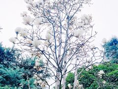 -浦江城市生活广场(江月路店)