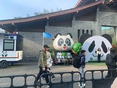 -都江堰中华大熊猫苑