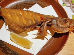 -镹·鱼料理  国产鱼使用店