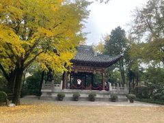 -汇龙潭