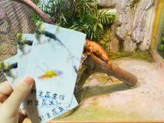 -上海大自然野生昆虫馆(东方明珠·爬宠昆虫探索中心)