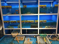 水产区-金龙·打边炉(南京西路店)