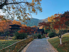 -习家池