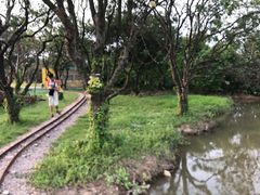 -长洲岛都市农业公园