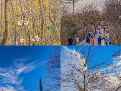 -岳麓山风景名胜区
