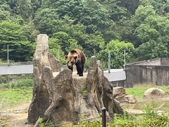 -杭州野生动物世界