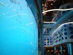 -瑞德姆美人鱼海底演艺主题餐厅(亚龙湾店)