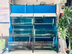 水产区-滇香肴·云南菜蒸汽石锅鱼(云南北路店)