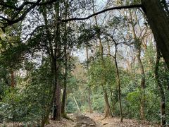 -岳麓山风景名胜区