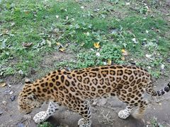 -大连森林动物园