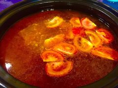 -乳仔牛牦牛汤锅 烤羊排(松潘古城店)