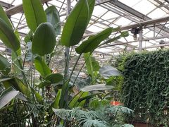 -金稼园·金平湖农家菜