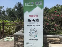 -东莞市大岭山森林公园