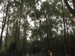 -邓小平故里
